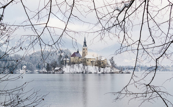 BLED, SLOVENIA - JANUARY 2015: view over Gothic church on the lake island. Framing with tree branches