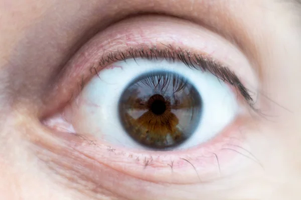 Close-up on male brown wide open eye — Stock Photo, Image