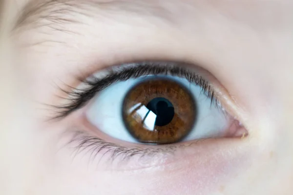 Close-up on young girl brown open eye — Stock Photo, Image