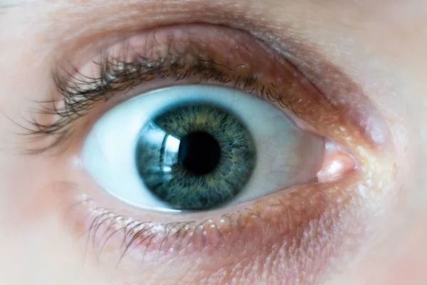 Крупним планом на чоловічого зеленого широко відкритого ока — стокове фото