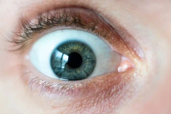 Γκρο πλαν για αρσενικό πράσινο ορθάνοιχτο μάτι — Φωτογραφία Αρχείου