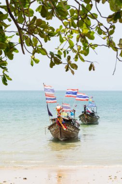 Krabi, Tayland - Mart 2019: Railay plajında demirlemiş Tay bayrakları ile uzun kuyruk ahşap tekneler