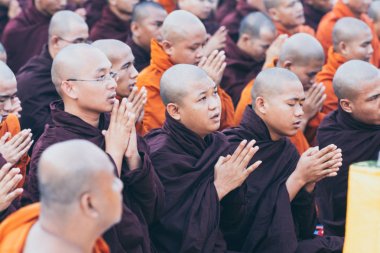 Yangon, Myanmar - Mart 2019: Shwedagon pagoda 'daki resmi dolunay töreninde Budist rahipler