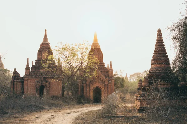 View over ancient temples of Bagan complex during sunrise golden hour in Myanmar — Stock Photo, Image