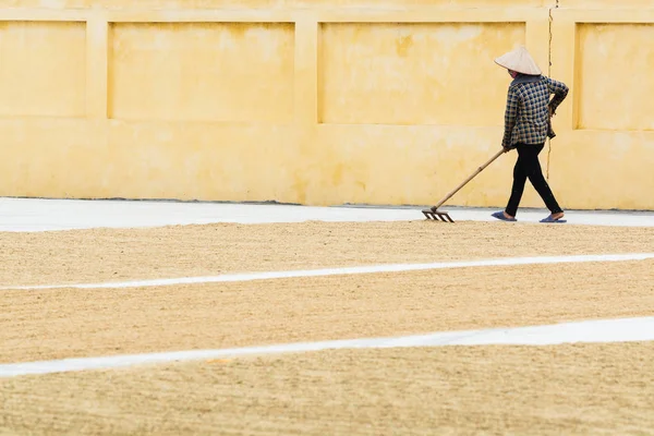 Ninh Binh, Vietnam - maggio 2019: la donna vietnamita appiattisce il riso essiccato a terra con i rastrelli — Foto Stock