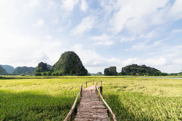 Wooden bridge going through rice field towards mountains of Tam Coc park in Ninh Binh, Vietnam — Stock Photo, Image