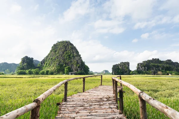 ベトナム・ニンビンのタム・コック公園の山々に向かって田んぼを通る木製の橋 — ストック写真