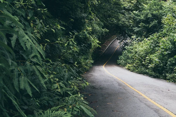 Asphalt road going through the jungle tropical forest — Stock Photo, Image