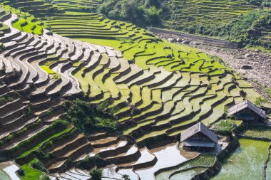 Lao Cai eyaletinde gün batımında ahşap evler ile Sapa Pirinç terasları, Vietnam
