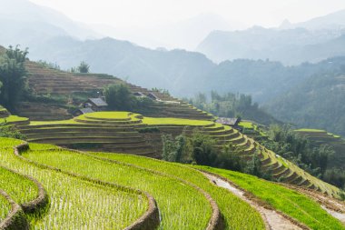 Lao Cai eyaletinde gün batımında ahşap evler ile Sapa Pirinç terasları, Vietnam
