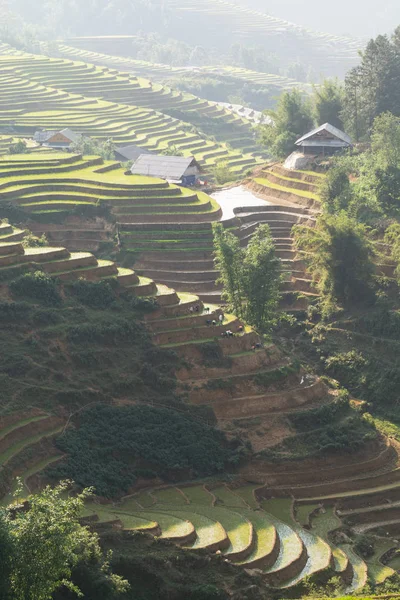 Terrazas de arroz de Sapa con casas de madera al atardecer en la provincia de Lao Cai, Vietnam — Foto de Stock