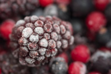 Dondurulmuş loganberry