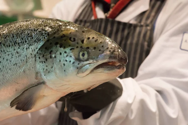 Fishmonger tutan somon