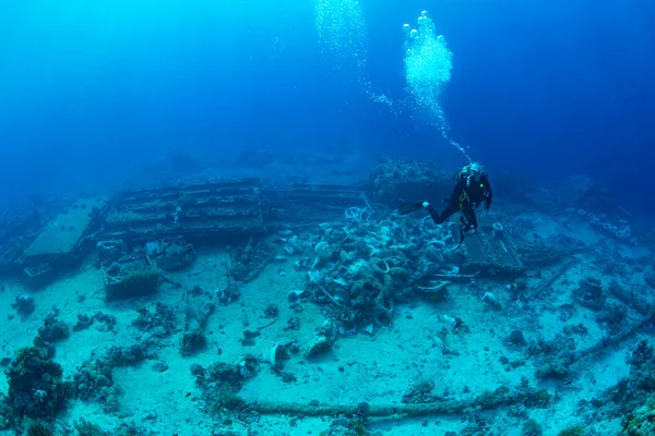 Diver by Yolanda toilet wreck