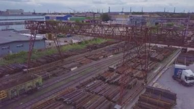 Karıncalar karınca yuvası içinde gezinme. Makro. Karıncalar karınca üzerinde