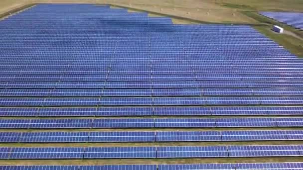 太阳电池板农场 太阳能电池 与阳光的鸟瞰图 飞机飞越太阳能电池板现场可再生绿色替代能源概念 — 图库视频影像