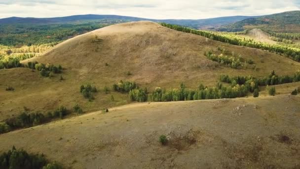 Aerial Shot Rising Treetops Revealing Appalachian Mountain Range Bright Day — Stock Video