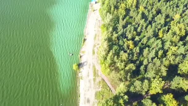 Vista Aérea Zona Remota Del Río Salvaje Bordeado Coníferas América — Vídeo de stock