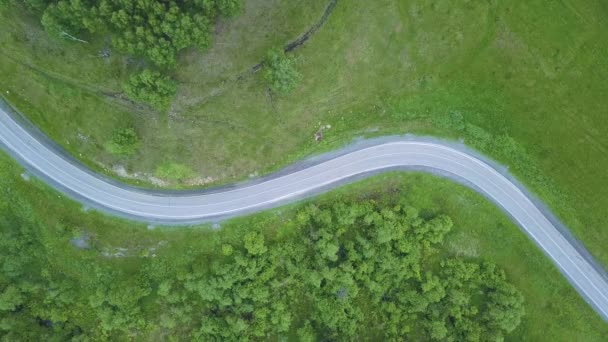 移動車のトラックと 車線林道の空撮 松の木の森では 道路上を飛んで撮影映画のドローン — ストック動画