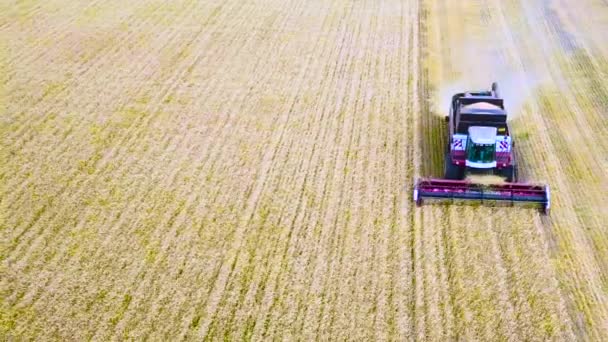 Combain Trabalhando Terra Vista Aérea — Vídeo de Stock