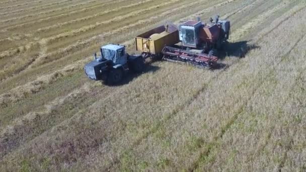 La moissonneuse-batteuse déchargera le grain dans le camion. Vue aérienne 