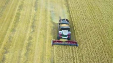 Hasat gündüz ayçiçeği birleştirin. Hava ateş