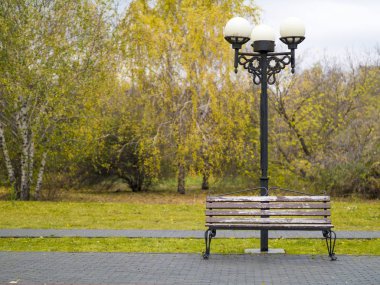 Sonbaharda parktaki ahşap park bankında