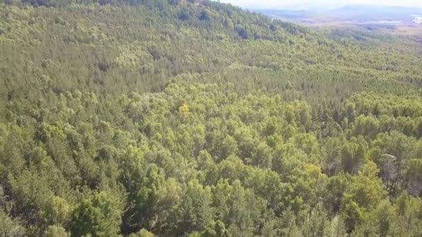 Vista aérea del dron: Vuelo sobre montañas de verano con bosques, prados y colinas en la luz suave puesta de sol. Montañas Cárpatas. Paisaje majestuoso. Mundo de belleza . — Vídeos de Stock