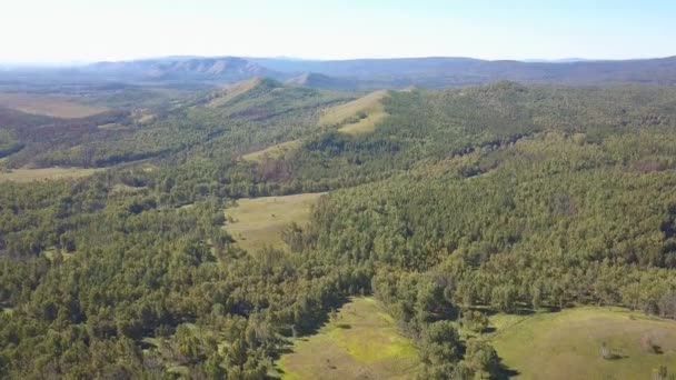 Dağlık bir orman üzerinde uçan hava atış. Uzun boylu ağaçlar, mavi gökyüzü: uzun boylu ağaçlar sağ tarafından sinekler vurdu. Redwoods, çam, köknar ağaçları. Ulusal orman arazi. — Stok video