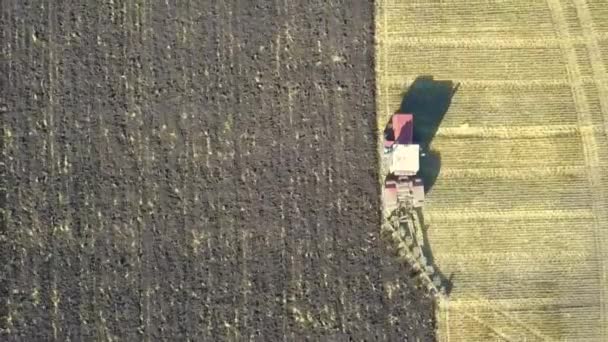 Letecký Pohled Kombinaci Pracující Velkém Pšeničném Poli — Stock video