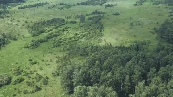 Aerial Drone Footage View: Flight over summer mountains with forests, meadows and hills in sunset soft light. Carpathian Mountains. Majestic landscape. Beauty world. — Stock Video