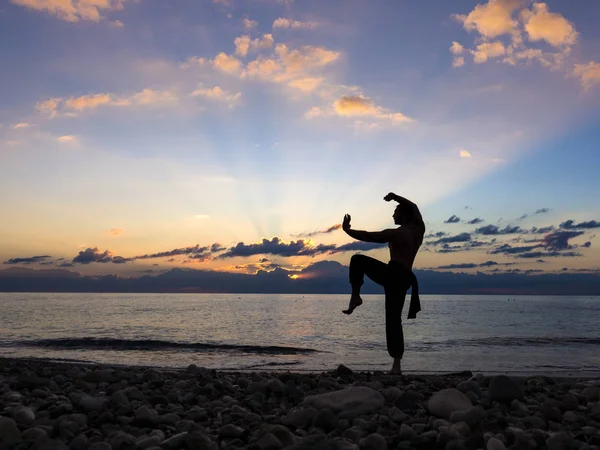 Homme pratiquant le wushu au coucher du soleil. Silhouette d'un homme au coucher du soleil . — Photo