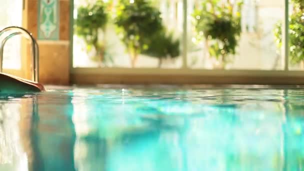 Patapies en una piscina. Movimiento borroso . — Vídeo de stock
