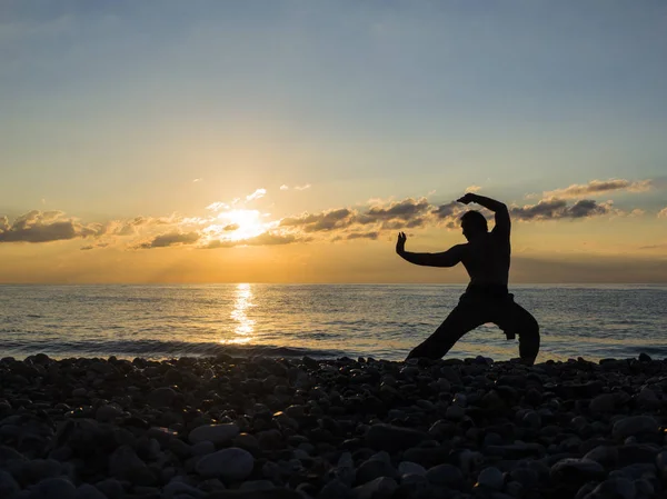 Martial arts man silhouette on sunset sky on background