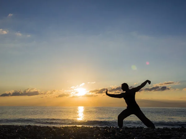 Martial arts man silhouette on sunset sky on background