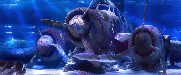 Verzonken vlak onder water in Antalya aquarium van Turkije — Stockfoto