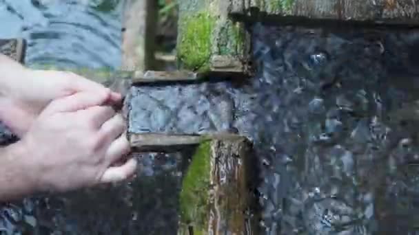 Крупный план человека, моющего руки в старом ручье в лесу — стоковое видео