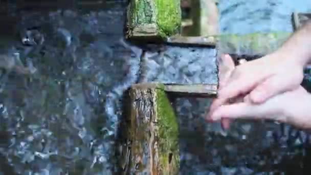 Vista da vicino di un uomo che si lava le mani in un vecchio ruscello nella foresta — Video Stock