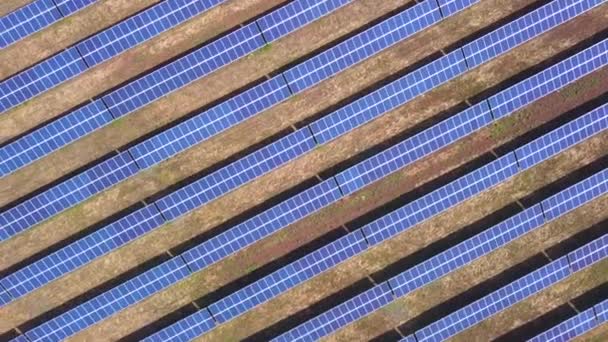 Plano Aéreo de Painéis Solares Coletando Luz Solar Energia Verde Natureza Preservação Ecologia Inovação Clean Green Living Concept . — Vídeo de Stock