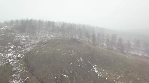 Det snöar i naturen. Flygfoto. Drönare som flyger över kullarna skog. — Stockvideo