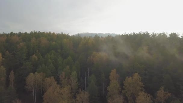 AERIAL: Volando por encima de las impresionantes copas de los árboles de colores con hojas giratorias en el día soleado. Hermosos árboles de otoño en el bosque amarillo, naranja y rojo en el día soleado de otoño. Follaje otoñal en bosque otoñal . — Vídeo de stock