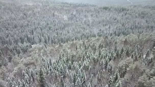Anteni: karlı orman ve tepeler üzerinde uçan. — Stok video