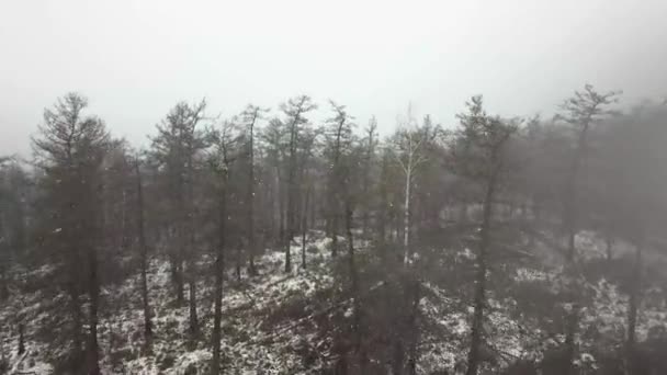Χιονίζει στη φύση. Εναέρια άποψη. Drone πετάει πάνω από λόφους του δάσους. — Αρχείο Βίντεο