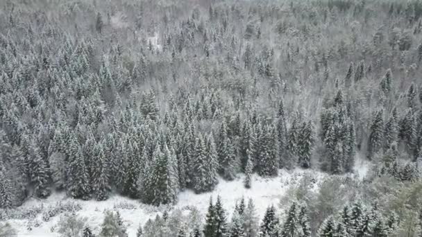 Κεραία: Πετούν πάνω από το χιονισμένο δάσος και λόφους. — Αρχείο Βίντεο