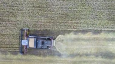 Biçerdöverler ayçiçeği gündüz hasat. Hava. Sonbaharda.