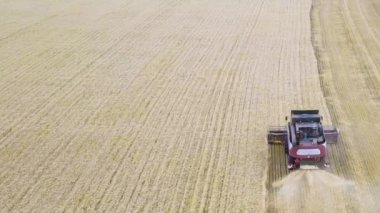 Biçerdöverler ayçiçeği gündüz hasat. Hava ateş.