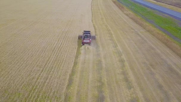 Vista aérea de cosechadora. Cosecha de campo de colza. Antecedentes industriales sobre agricultura. Biocombustible de la campiña checa. Agricultura y medio ambiente en la Unión Europea . — Vídeo de stock