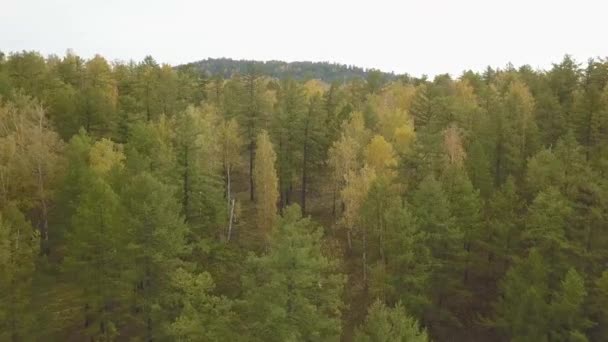 Drone felvételeket légifelvételek: Repülés őszi hegyek, erdők, rétek, dombok, a naplemente lágy fény. Kárpátok, Ukrajna, Európa. Fenséges tájat. Szépség világ. — Stock videók