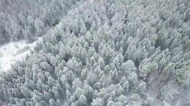 Anteni: karlı orman ve tepeler üzerinde uçan.