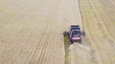 Biçerdöverler ayçiçeği gündüz hasat. Hava. Sonbaharda.